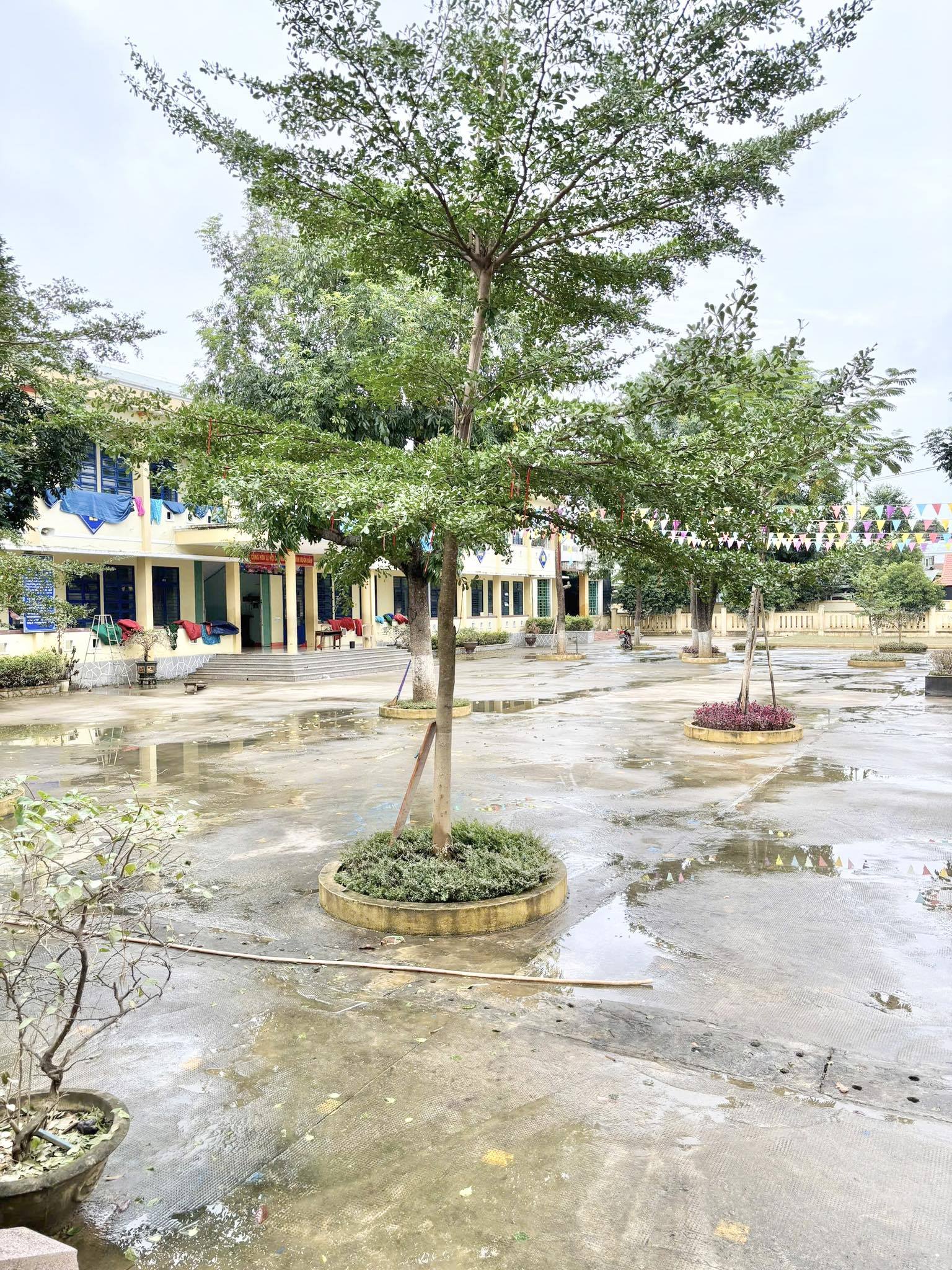 anh tin bai